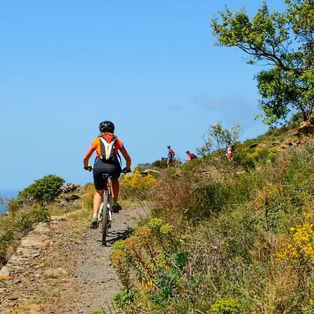 T4 Neuf, Hyper Calme, Vue Superbe Sur & Vignes, Clim Apartment Collioure