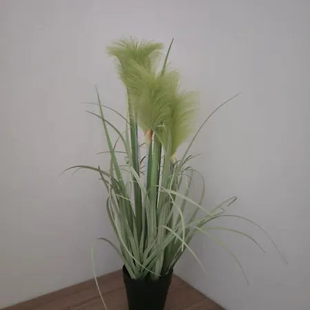 Neuf Et Nouvelle Gestion, Hyper Calme, Vue Superbe Et Nature *