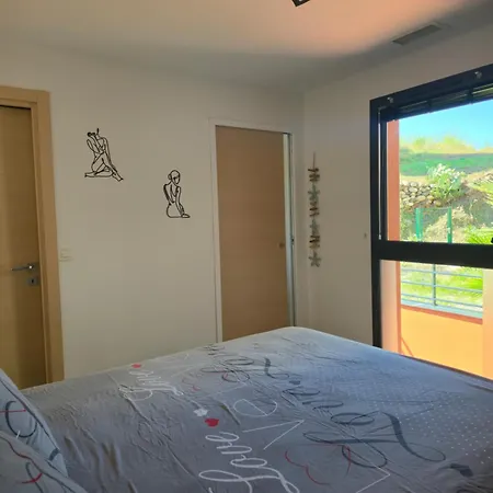 Neuf Et Nouvelle Gestion, Hyper Calme, Vue Superbe Et Nature * Collioure