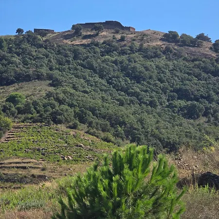 Neuf Et Nouvelle Gestion, Hyper Calme, Vue Superbe Et Nature Daire