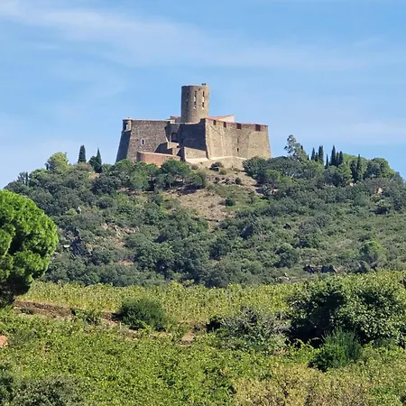 Neuf Et Nouvelle Gestion, Hyper Calme, Vue Superbe Et Nature Lejlighed Collioure