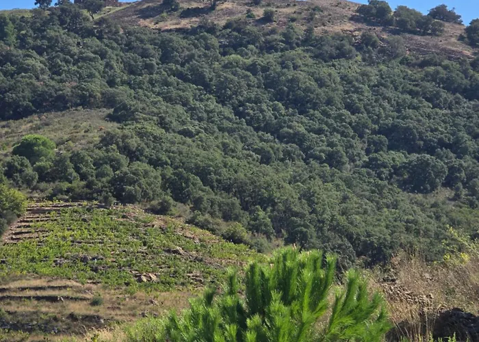 Neuf Et Nouvelle Gestion, Hyper Calme, Vue Superbe Et Nature Daire