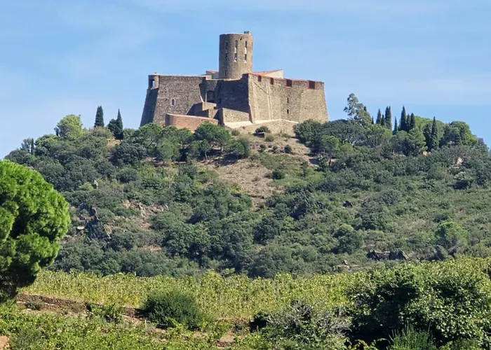 Neuf Et Nouvelle Gestion, Hyper Calme, Vue Superbe Et Nature Apartamento Collioure